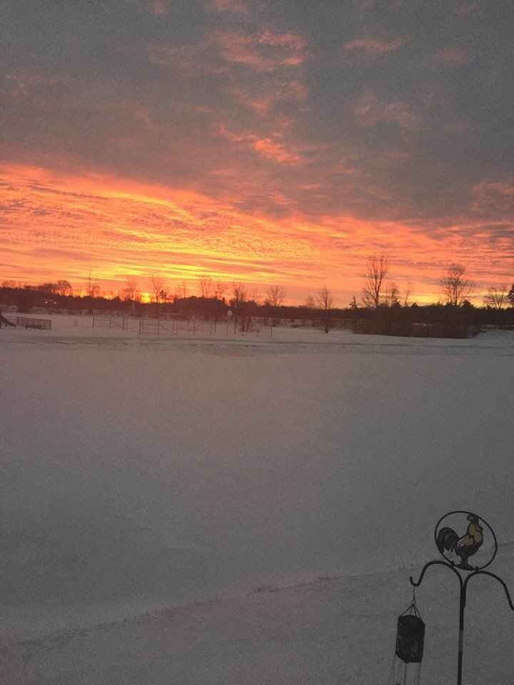 Peggy Silvers' album, Timeline Photos