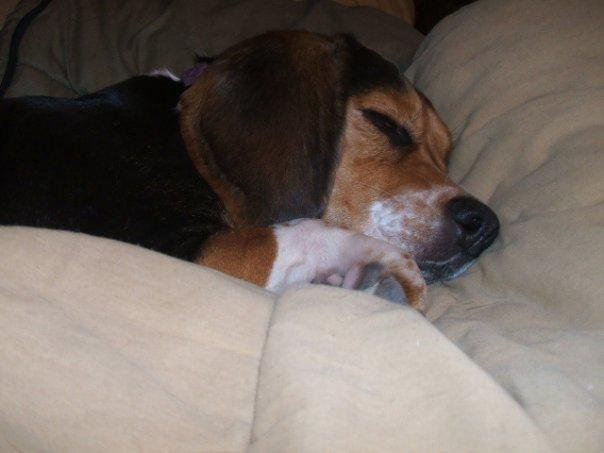 The spoiled child