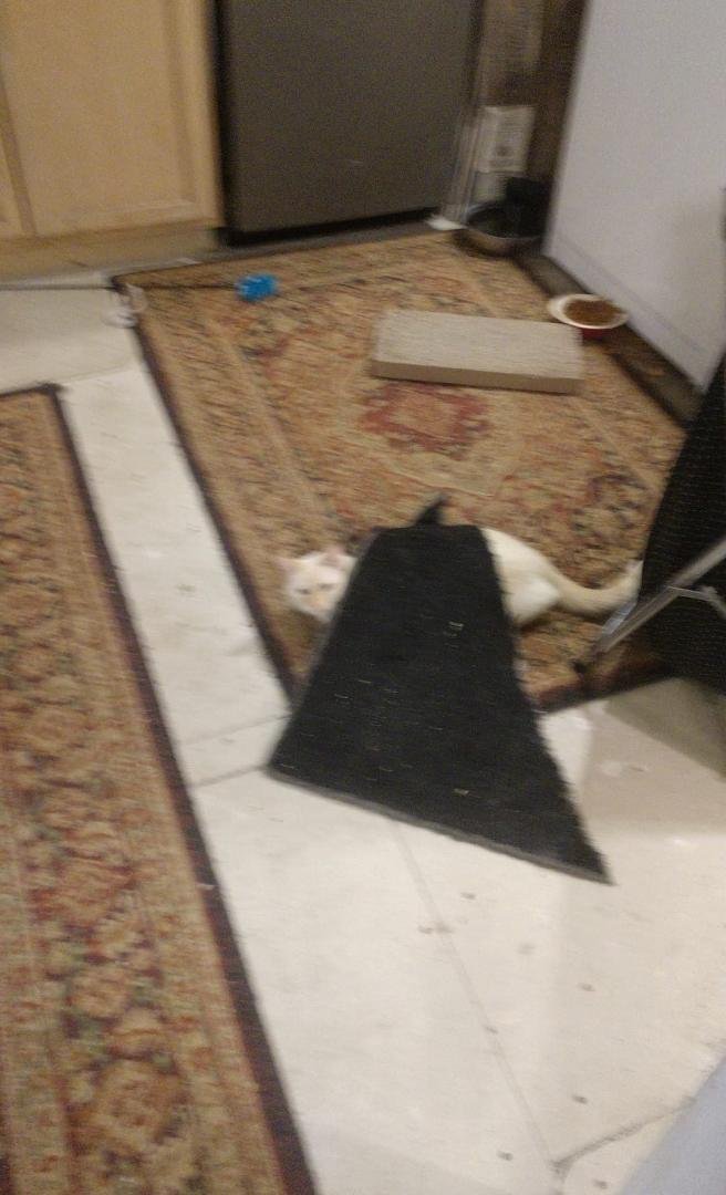 She has her camouflage on nobody can see her she blends right in.....