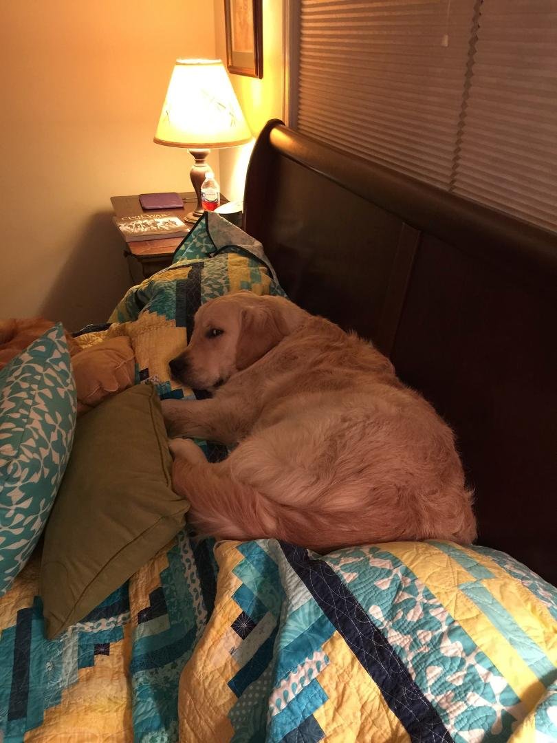 Keagan is trying to sleep on all the pillows now, not just mine.