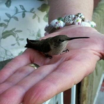 My cute little friend