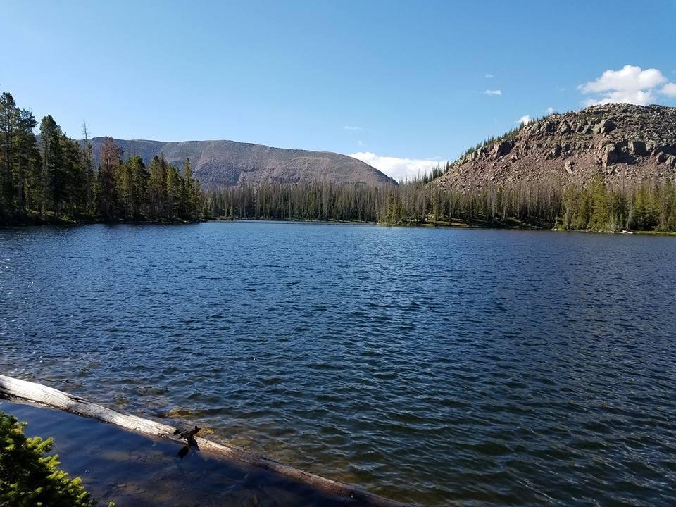 betsy lake