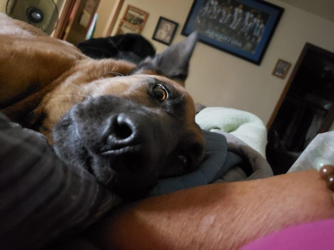 Belle wanting me up....so glad to have her in my life with Chloe.