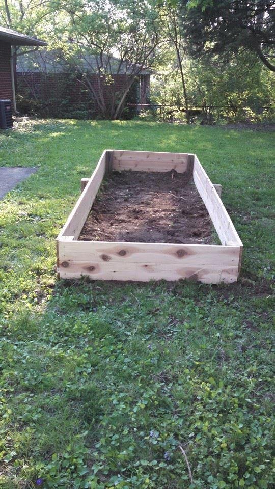 Raised Garden, phase 2
