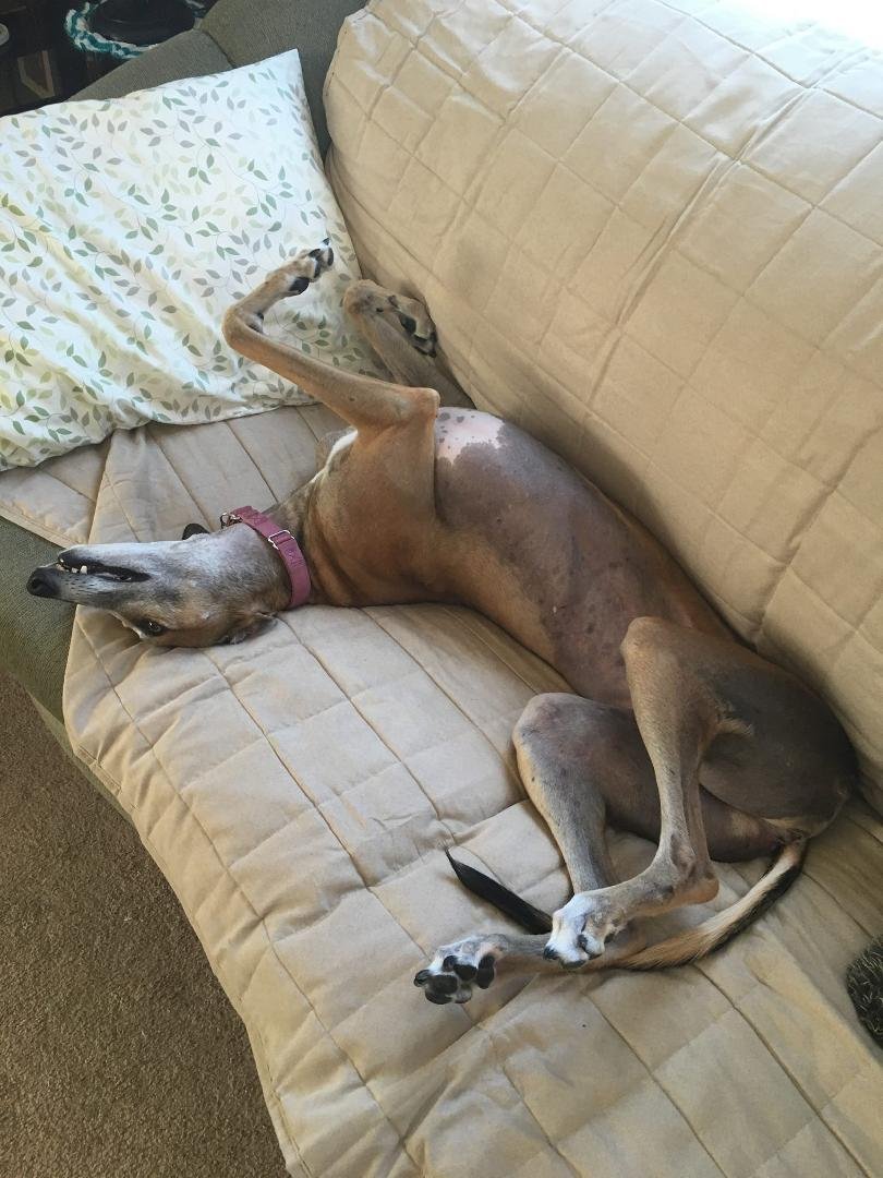Trisha says this is very comfortable.
