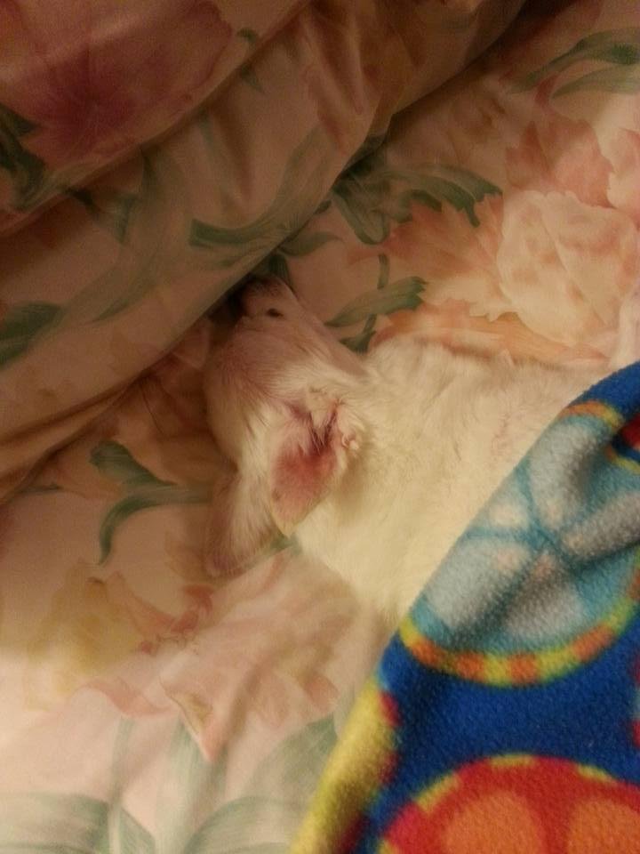 Sleepy boy