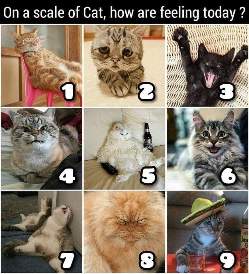 I'm a 1 today, a sleepy 1