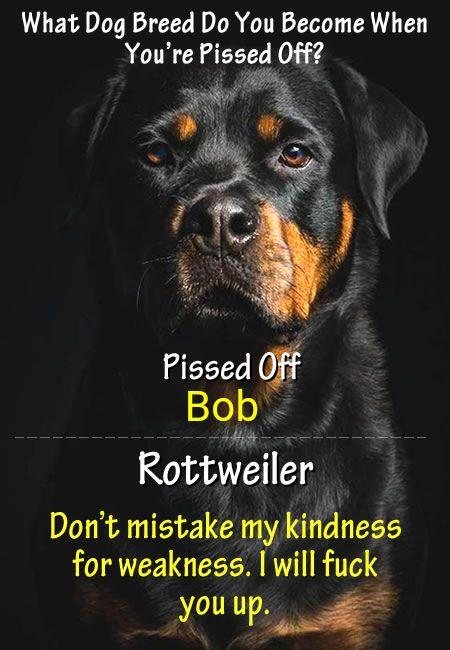Bob Gordon's album, Timeline photos