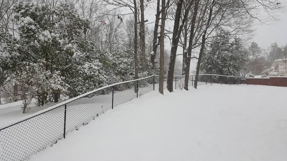 From our windows this am. Sat. 8 Jan.