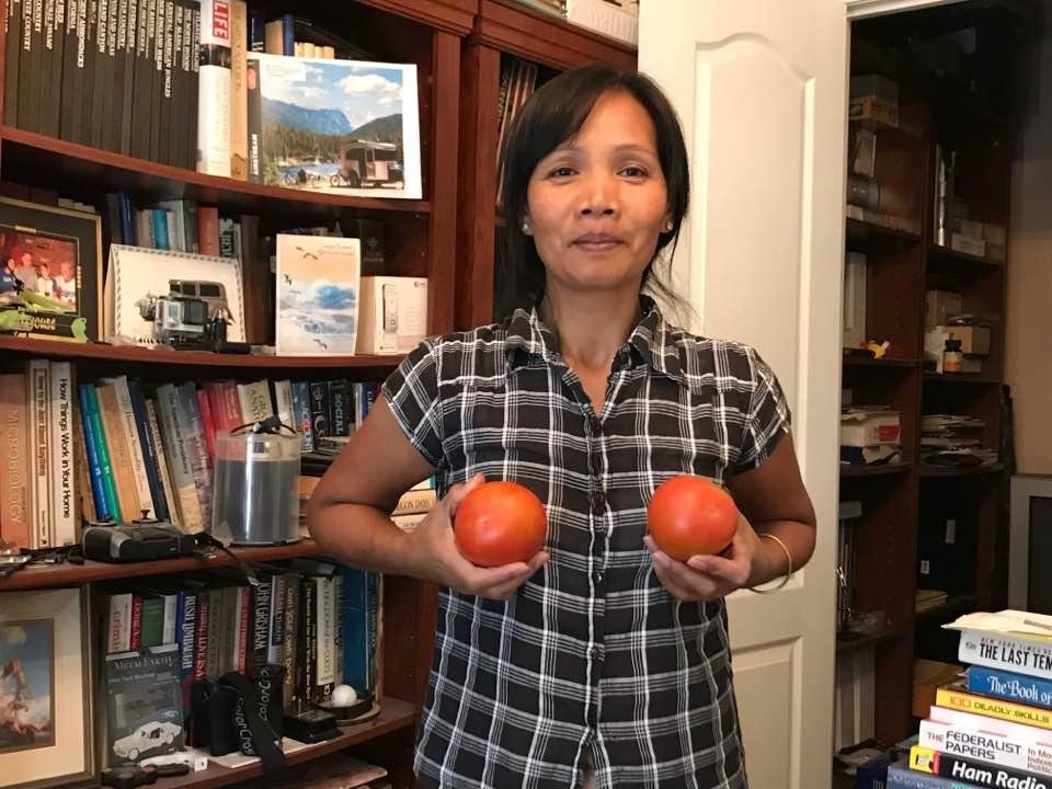 Susie’s tomatoes...