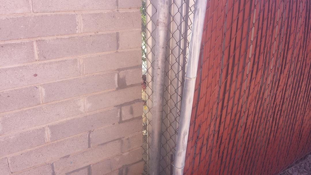 This is the one sliver the dogs can see through. I will work to getva few more slats up. Poor buddy. They barely bark and do not jump on the fence anymore.