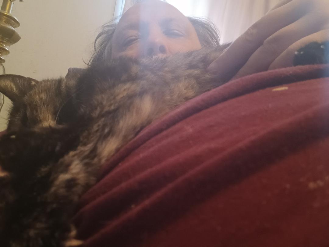 Ronald Todd's album, Mobile uploads