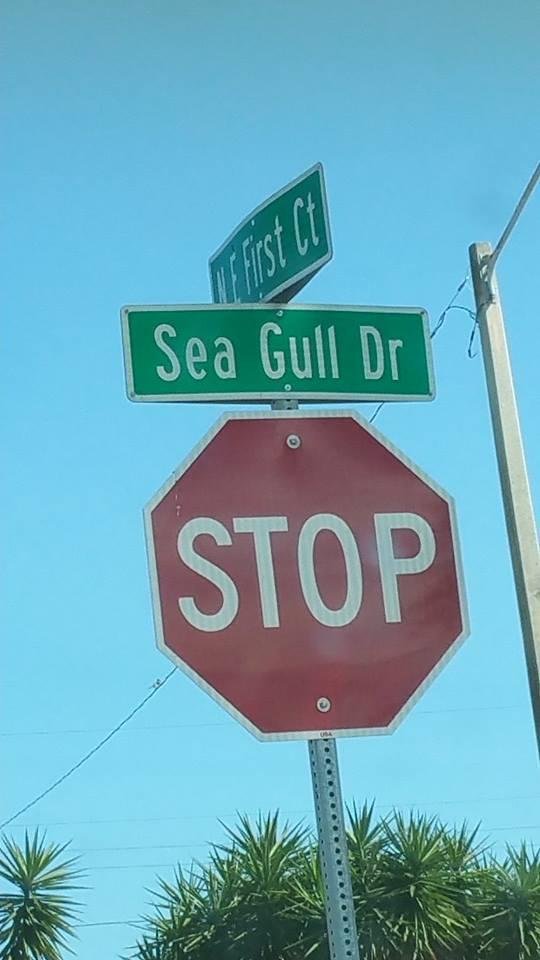 Home sweet home from '59 to '68