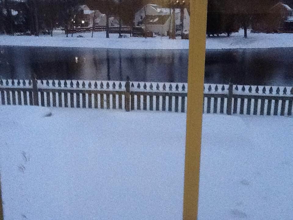 Blizzard of 2017 snow you can't see the flower bed