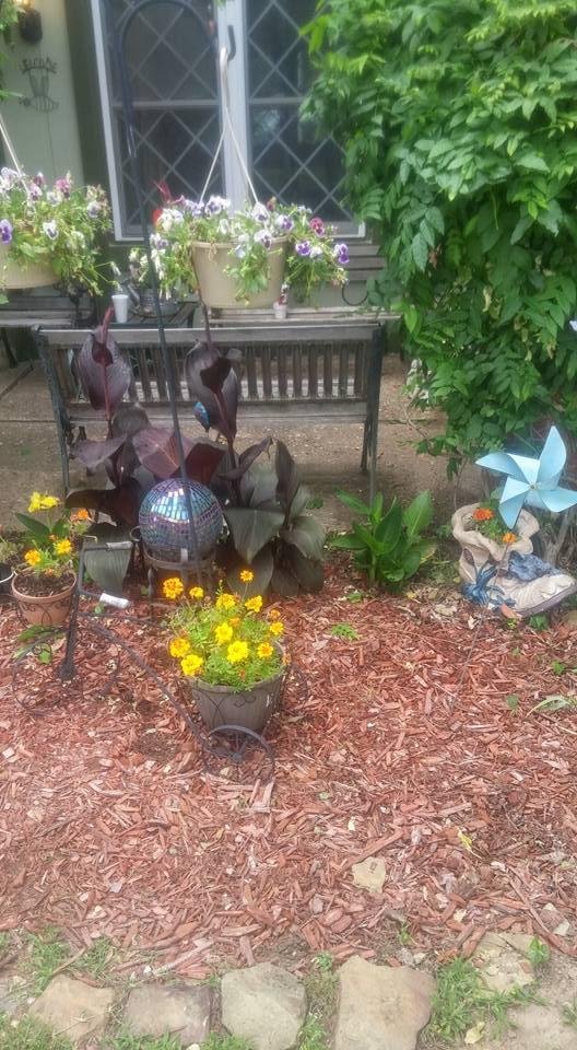 I love my flower bed