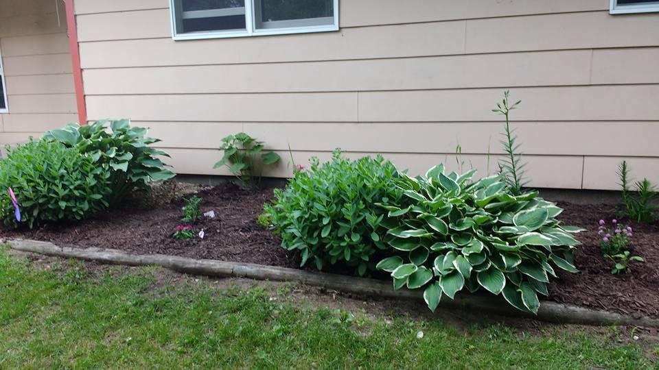 Been busy last couple days redoing flower bed - crossing  my fingers they all bloom.