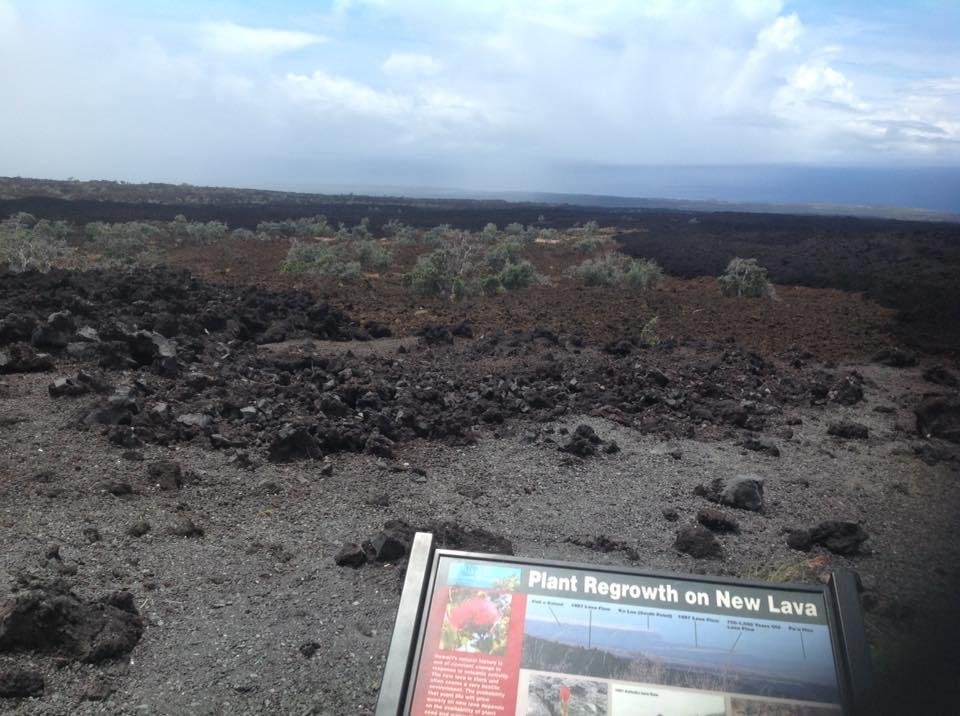 Found this interesting.  Lava, from the Mauna Loa Volcano to the ocean, with new growth of trees coming through.  Close to Kailua-Kona.