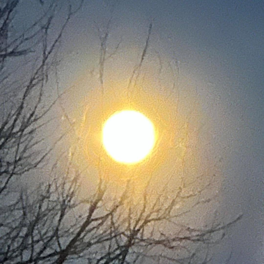 I see the moon. The moon sees me……