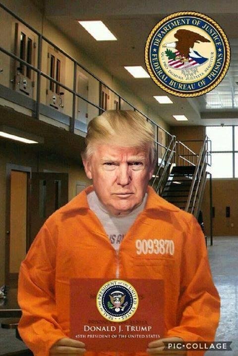 A picture of traitor trump after an independent investigation of Russian collaboration durring our election. The cheeto faced asshole is in good company. Most of his campaign organization and white house staff share a cell