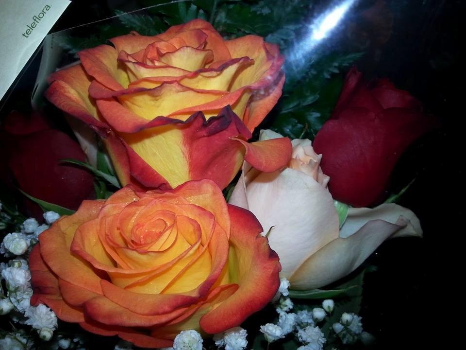 Nelson Rosas' album, Mobile Uploads