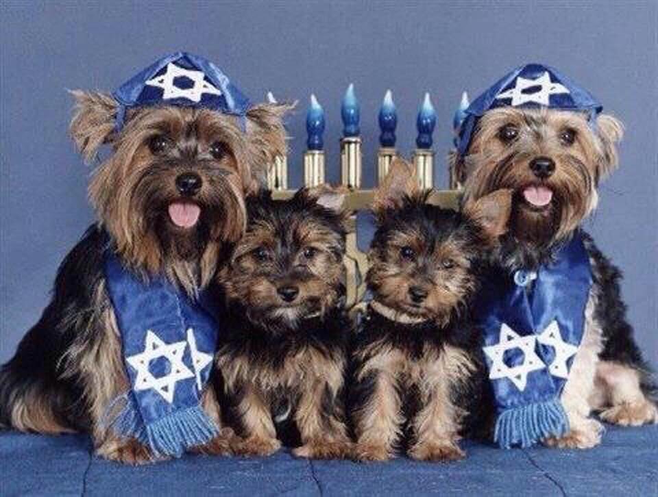 Happy Hanukkah to all my friends and family celebrating!