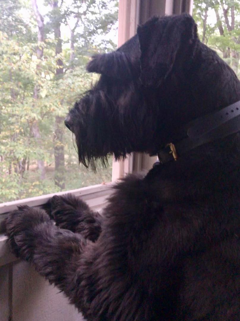 Waiting to explore all of the smells at Lake Cumberland Resort Park!!