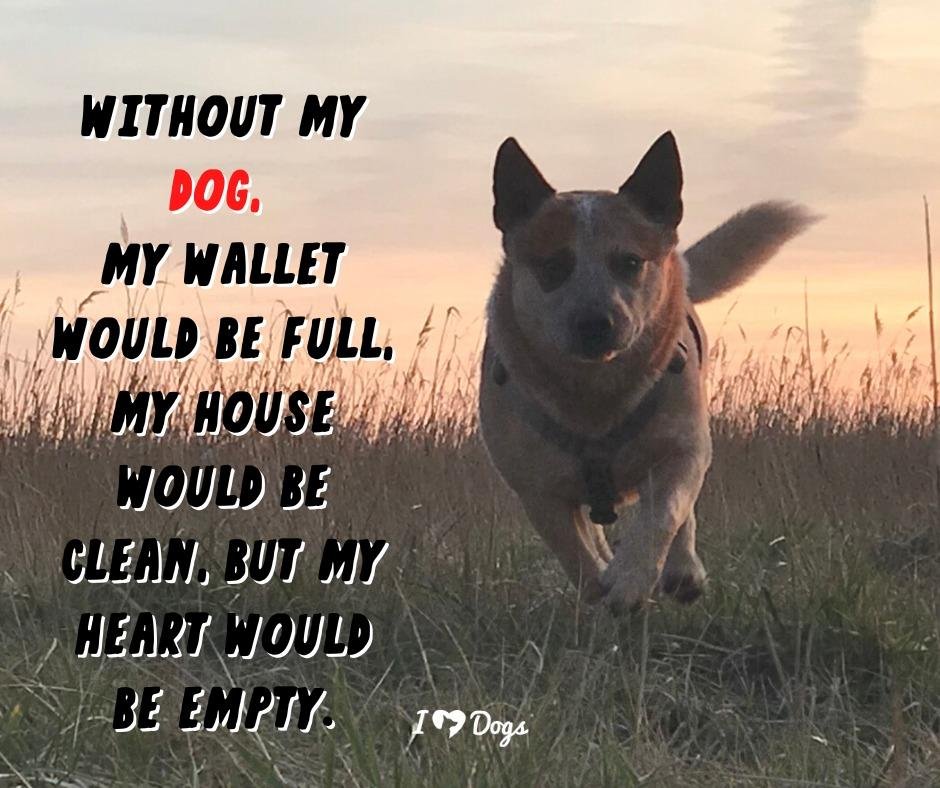 Darrel Murray's album, Timeline photos