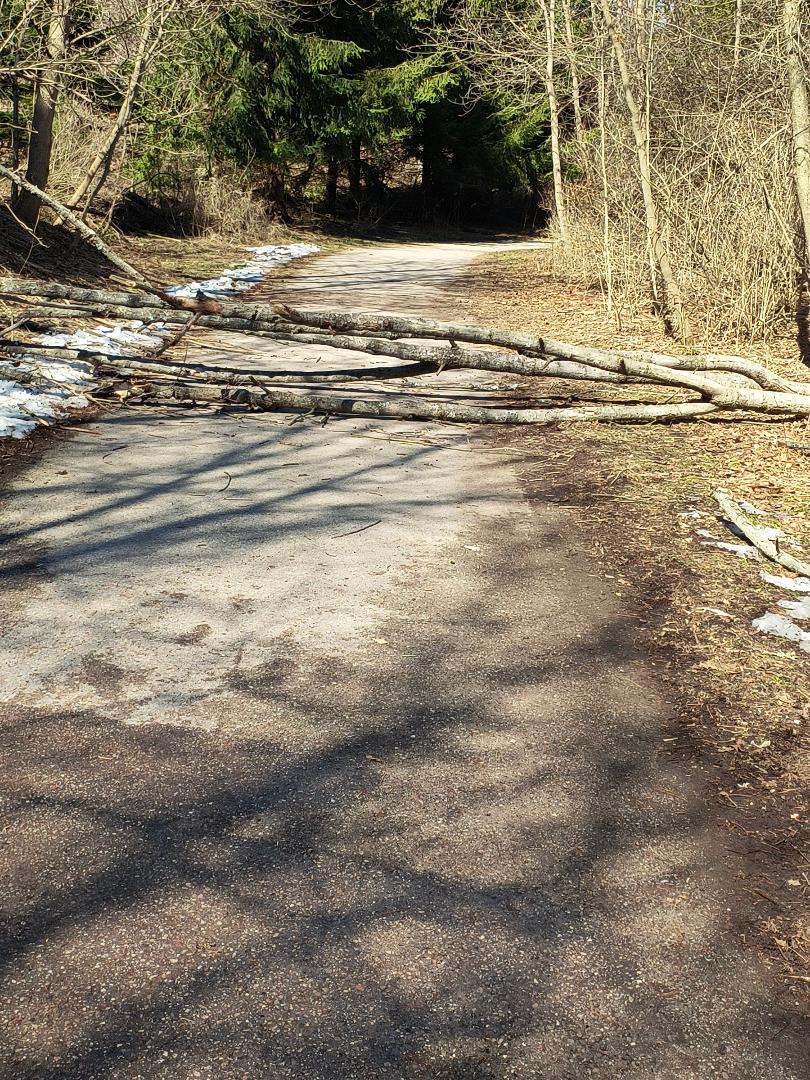 Road block on my morning walk!