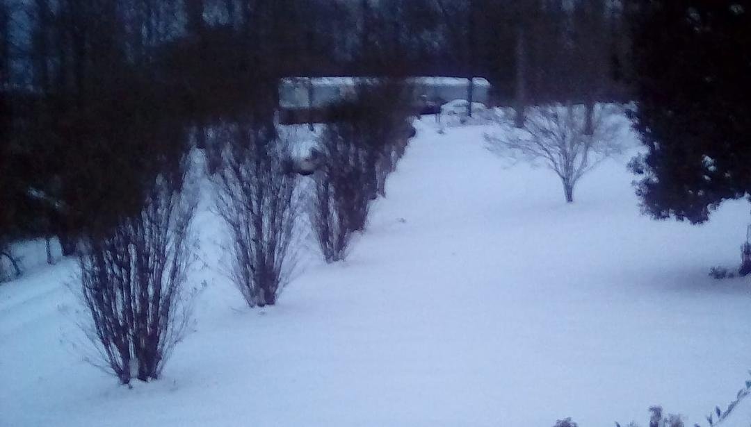 My car is out there somewhere.
