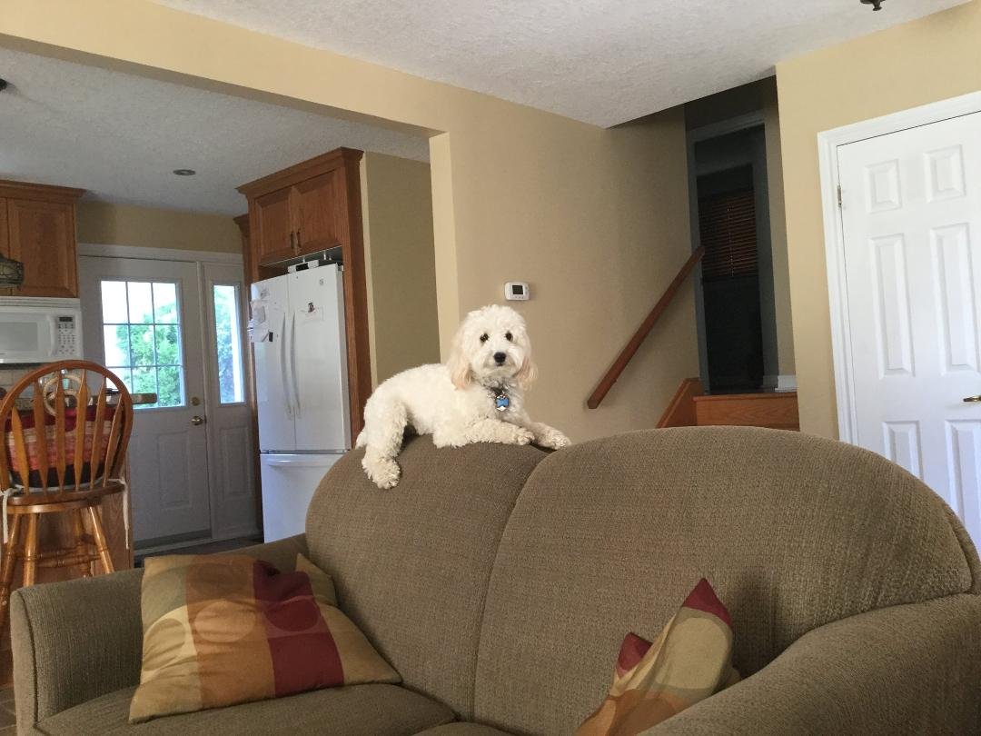 Waiting for someone to come home