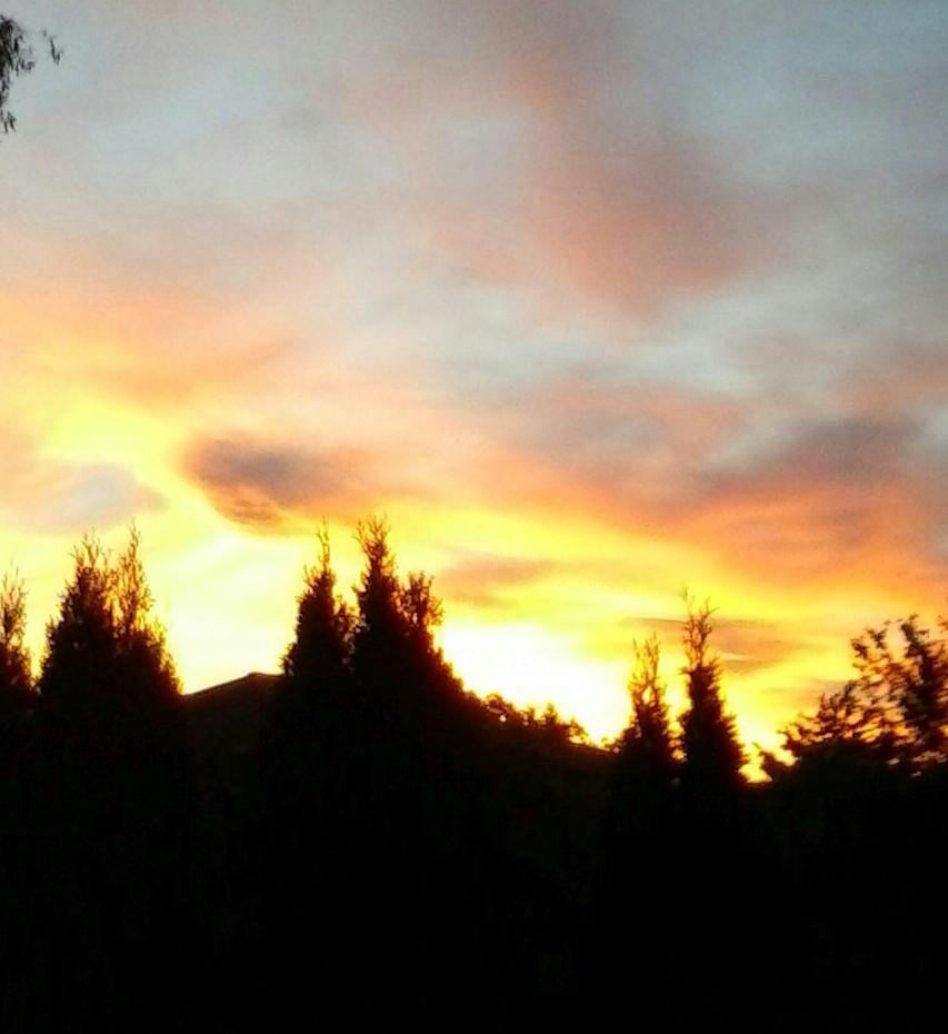 My morning. View