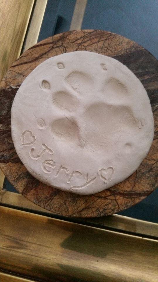 My vet made this impression of Jerry's paw & gave to me ;) how sweet .I always loved his big paws ;) I will treasure this:)