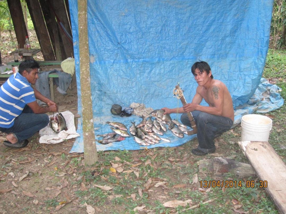 There are two long time employees who work here at the farm. Andres caught this batch of river fish at night with his homemade spear gun which he is holding in his hand.