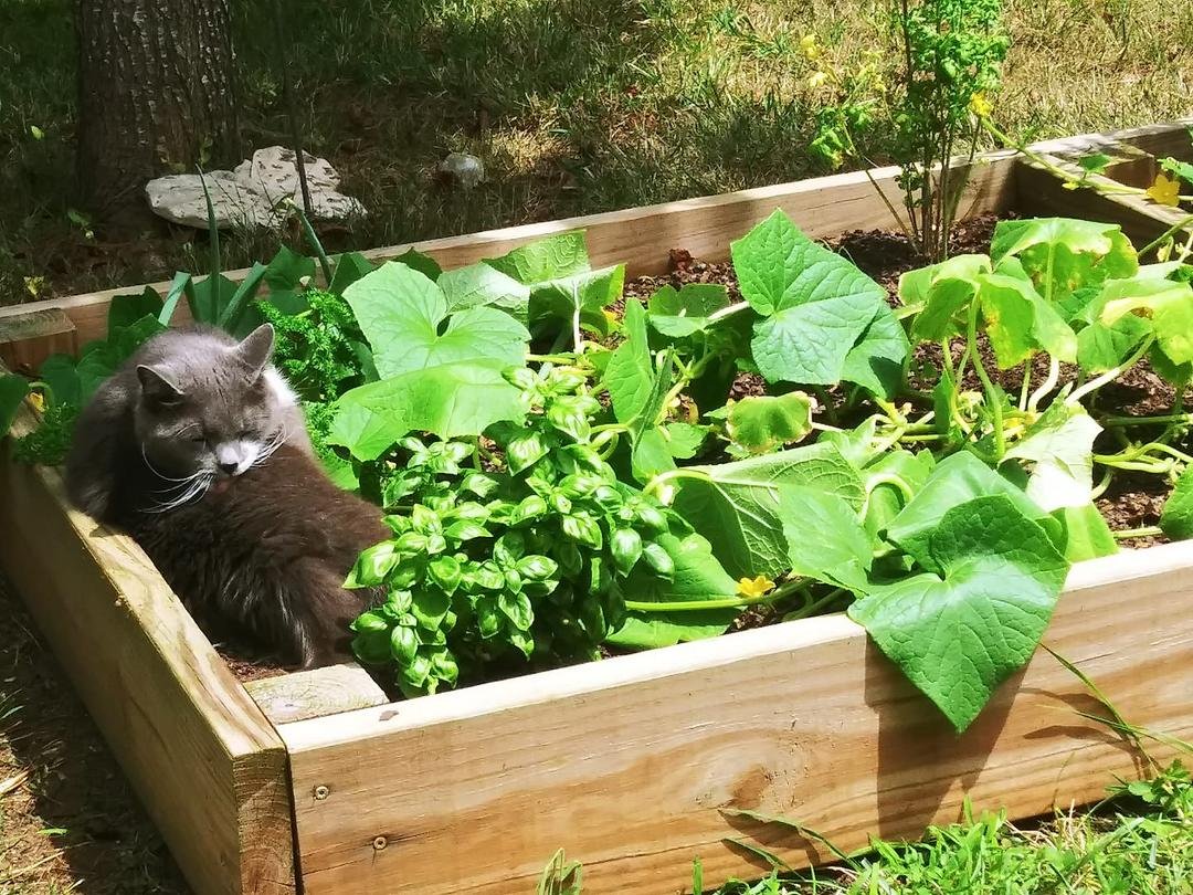 Ready for picking?