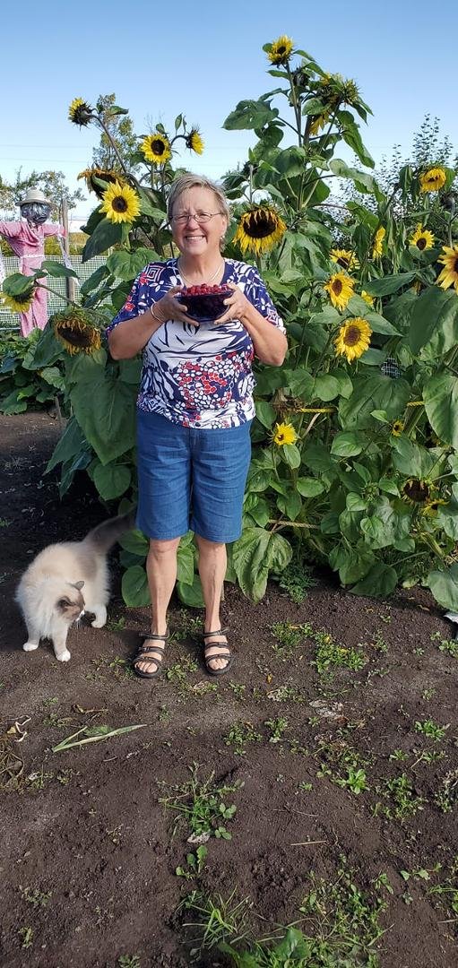 We picked a bowl of raspberries this morning. They are almost done for this year .