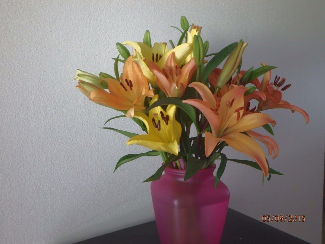 Donna Germain's album, Timeline Photos