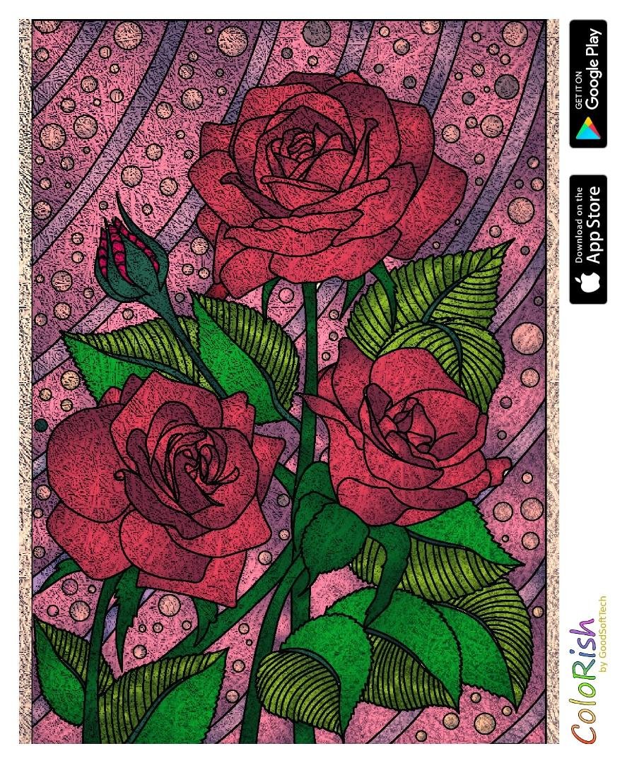 #colorish