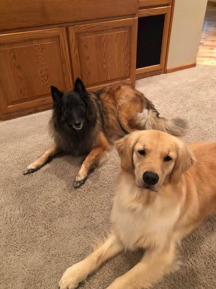Molly and Cody.