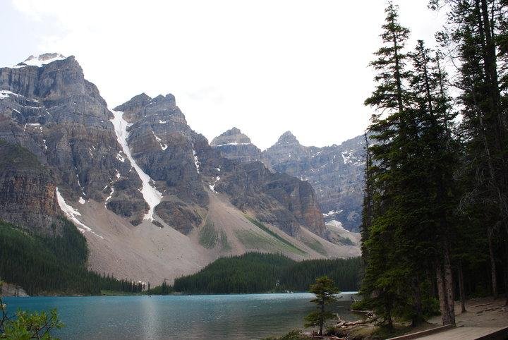 Steven Thomas' album, Canada 2010