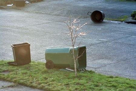 If you find a few trashcans on Station Avenue that arent yours they might be ours. I think three have blown away,.In fact if you live anywhere in the Langhorne Borough they might be ours this wind is crazy