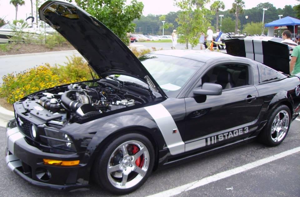 John Webster's album, Just Mustangs