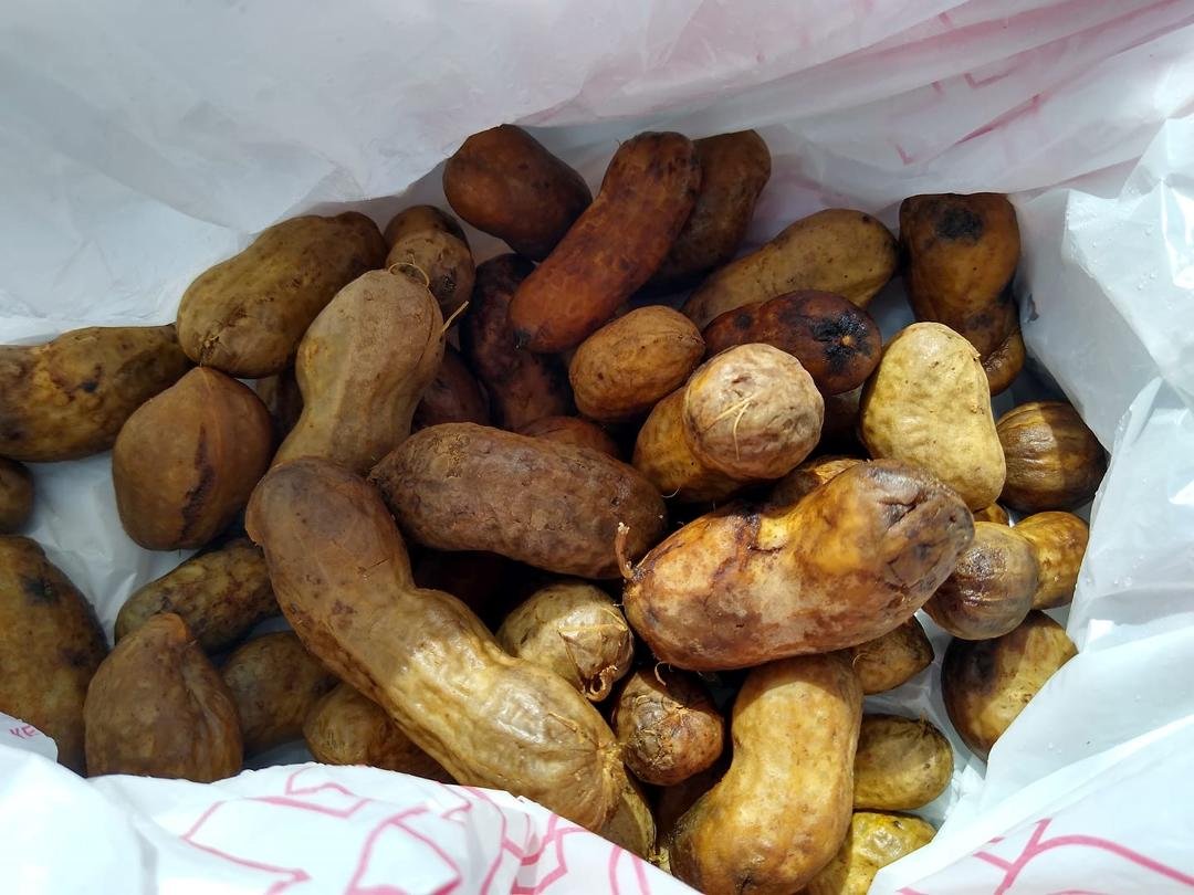 Jumbo boiled peanuts! Yummy! They are good!