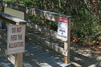All week long, I was planning to go down to the beach well after dark to look at stars and constellations with a new pair of binoculars (15X70). Between the Condo and the beach there's a small bayou with a bridge over the f