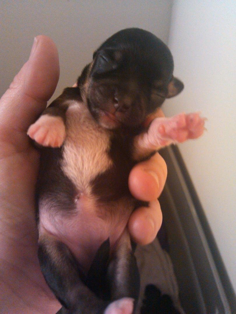 Little girl awwwww
