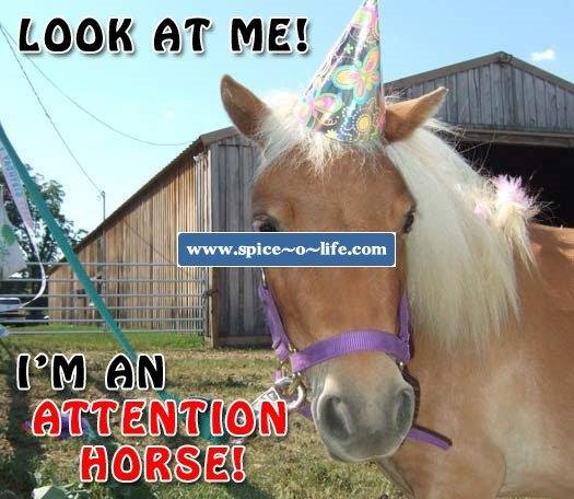 For all of us that are "attention whorses".