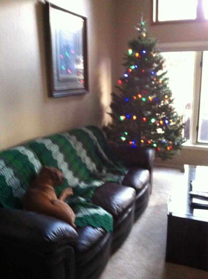She just stares at it... It was recommended to do away with all blue this year...More Cheerie! Discuss..