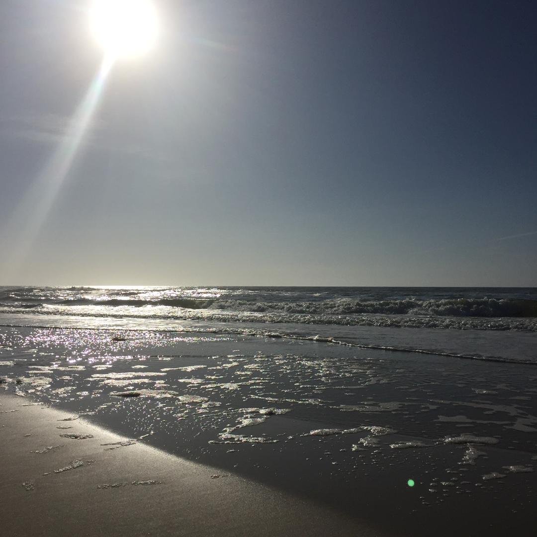 A splendid day in Florida ! Amazing weather in February!