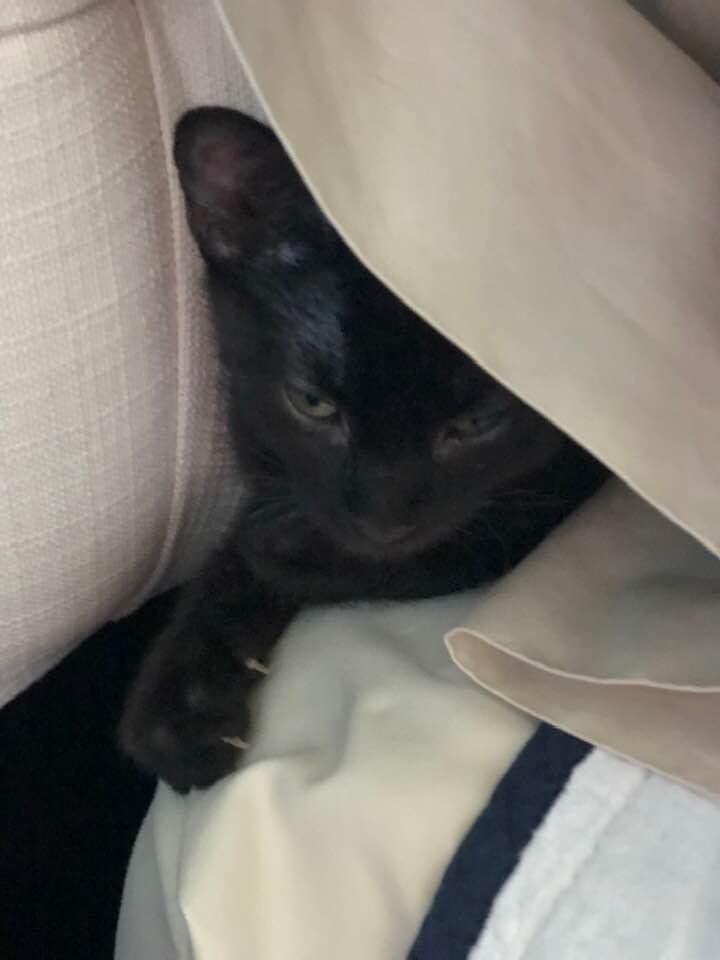 Austin found a place to hide