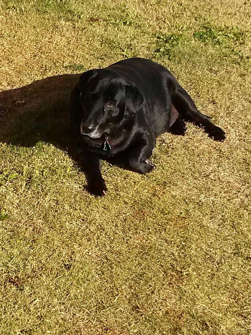 Pete relaxing after his pedicure.