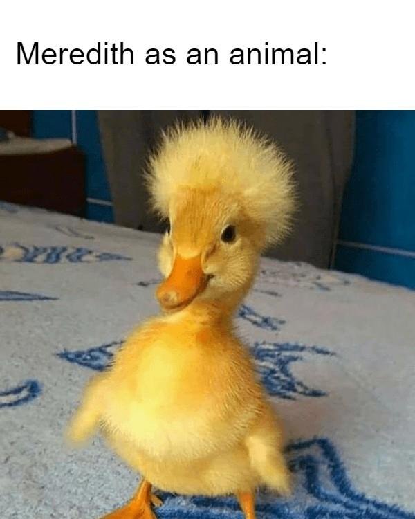 He's got my hairdo..